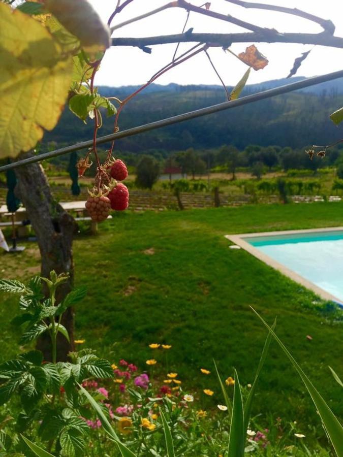 Вилла Quinta Da Aranha Аркуш-ди-Валдевеш Экстерьер фото